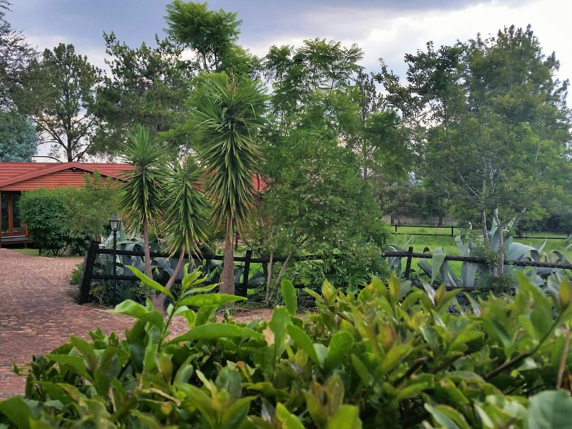 Pine Tree Lodge Midrand Exterior foto